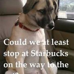 adriannatawney avatar