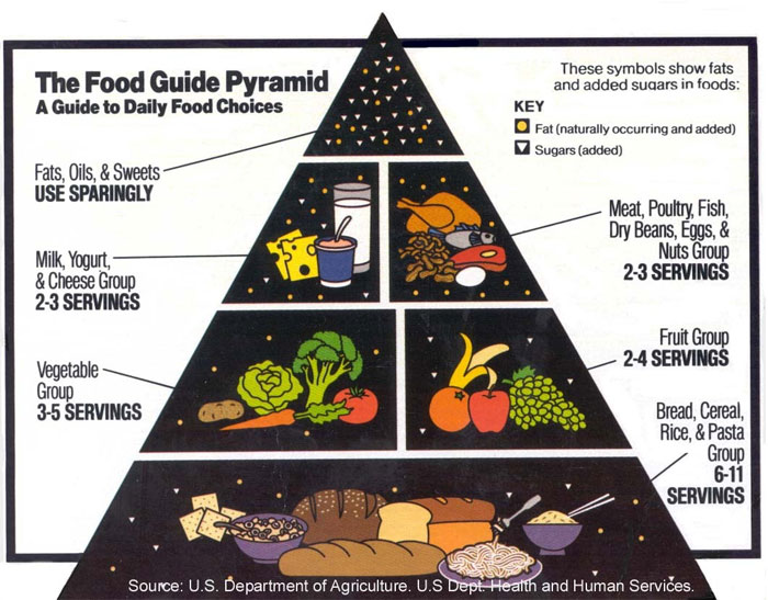 The Food Pyramid