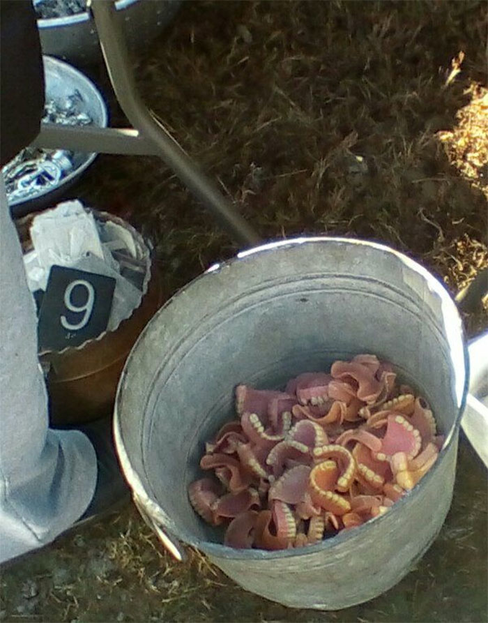 From The Elephants Trunk Flea Market- Bucket 'O Teeth