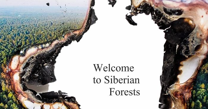 Siberian Forests Are On Fire And I Can‘t Be Silent, So I Created A Series Of Posters