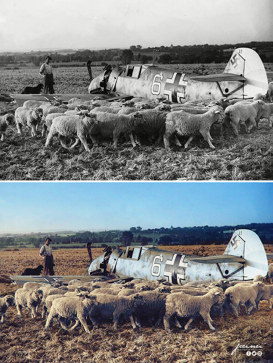 The Wreckage Of The Messerschmitt BF 109e4 In Kent On 5 September 1940 During The Battle Of Britain