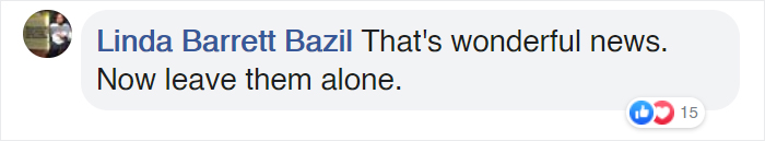 California's Last Gray Wolf Pack Just Surprised Everyone By Welcoming 3 New Pups California's Last Gray Wolf Pack Just Surprised Everyone By Welcoming 3 New Pups