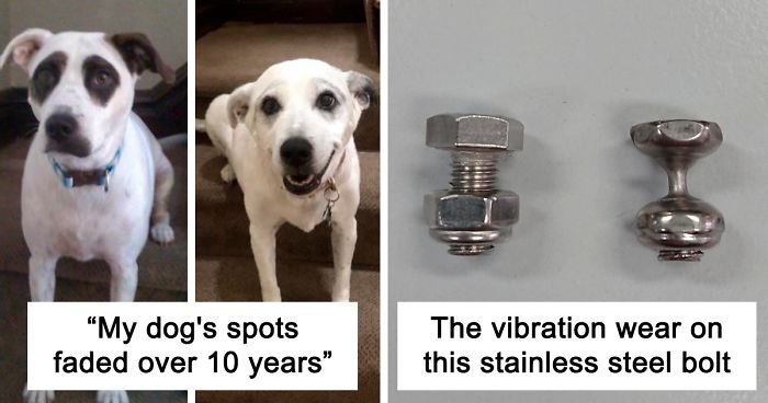 50 Of The Most Interesting Examples Of How Time Wears Down Things