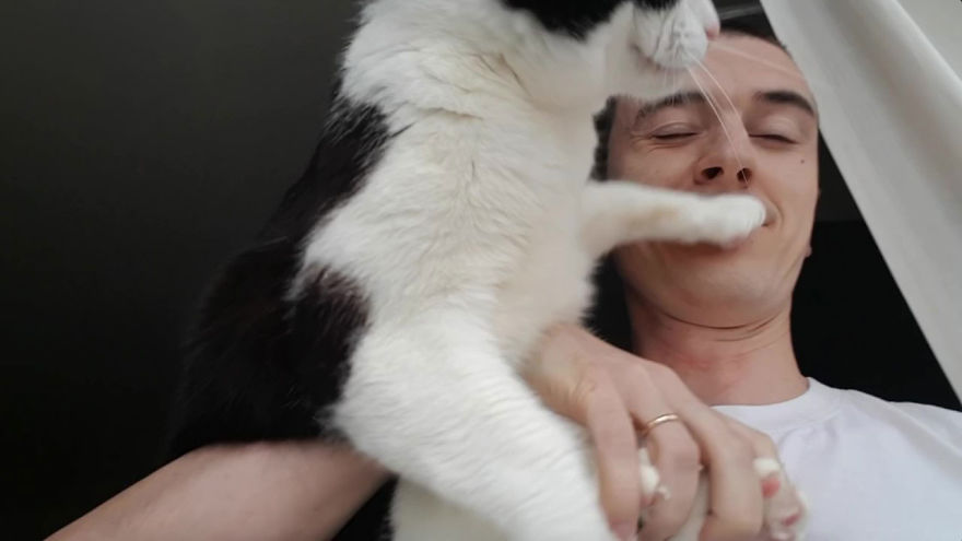 There's A Cat Selfie Device That Will Make Your Photos With Your Cat Simply Purrfect There's A Cat Selfie Device That Will Make Your Photos With Your Cat Simply Purrfect