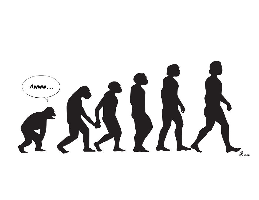 Still Don’t Believe In Evolution?! These Cartoons Take It To The Next Step.