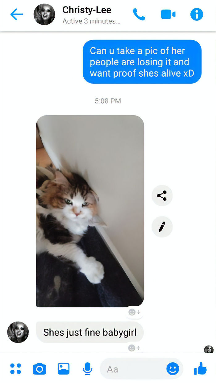 Good News, Everyone - Loops The Cat Is Alive And Well Good News, Everyone - Loops The Cat Is Alive And Well