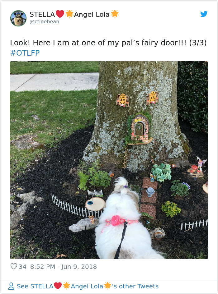 Fairy-Doors