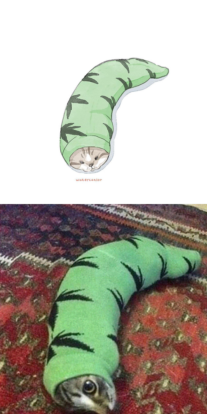 Digital-Watercolor-Cat-Paintings-Watercatlor