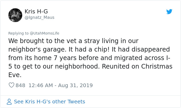 Missing Cat Is Brought Home After 5 Years, Still Recognizes Its Owner Missing Cat Is Brought Home After 5 Years, Still Recognizes Its Owner