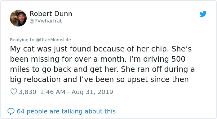 Missing Cat Is Brought Home After 5 Years, Still Recognizes Its Owner