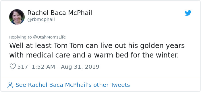 Missing Cat Is Brought Home After 5 Years, Still Recognizes Its Owner Missing Cat Is Brought Home After 5 Years, Still Recognizes Its Owner