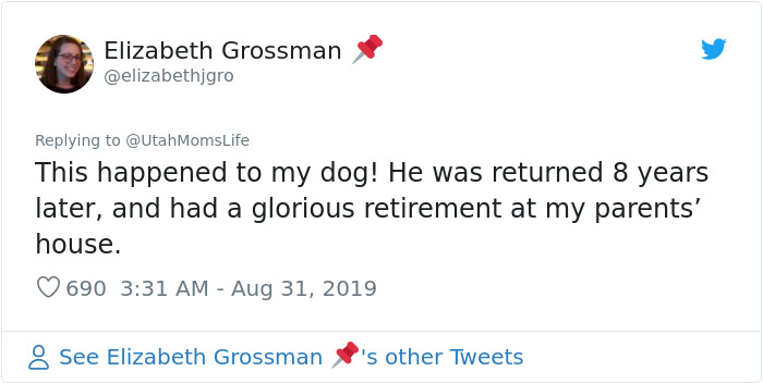 Missing Cat Is Brought Home After 5 Years, Still Recognizes Its Owner Missing Cat Is Brought Home After 5 Years, Still Recognizes Its Owner