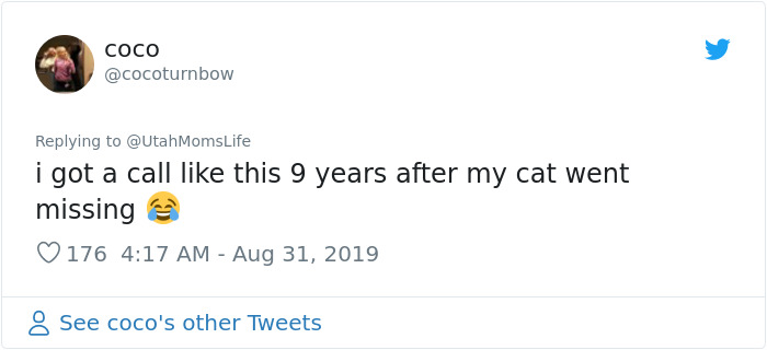 Missing Cat Is Brought Home After 5 Years, Still Recognizes Its Owner Missing Cat Is Brought Home After 5 Years, Still Recognizes Its Owner