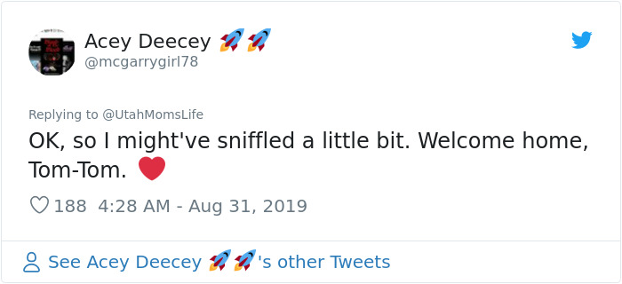 Missing Cat Is Brought Home After 5 Years, Still Recognizes Its Owner Missing Cat Is Brought Home After 5 Years, Still Recognizes Its Owner