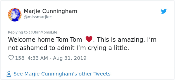 Missing Cat Is Brought Home After 5 Years, Still Recognizes Its Owner