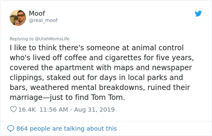 Missing Cat Is Brought Home After 5 Years, Still Recognizes Its Owner Missing Cat Is Brought Home After 5 Years, Still Recognizes Its Owner