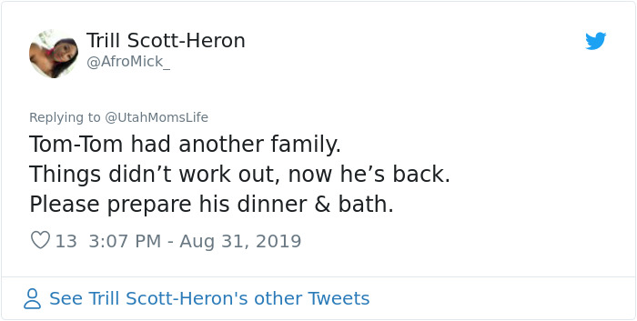 Missing Cat Is Brought Home After 5 Years, Still Recognizes Its Owner Missing Cat Is Brought Home After 5 Years, Still Recognizes Its Owner