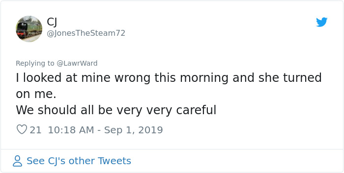 This Thread Detailing How Cats Could Take Over Scotland Is Hilarious