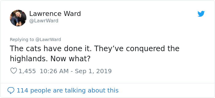 This Thread Detailing How Cats Could Take Over Scotland Is Hilarious