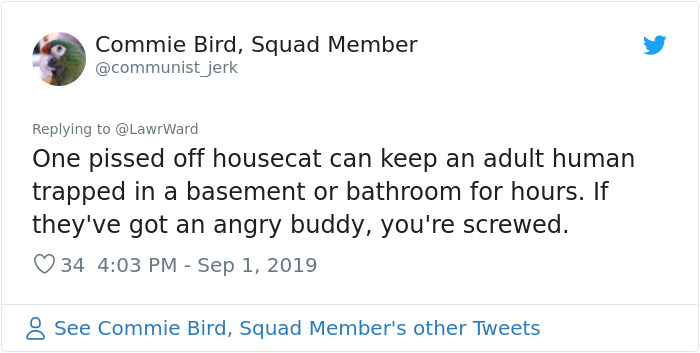 This Thread Detailing How Cats Could Take Over Scotland Is Hilarious