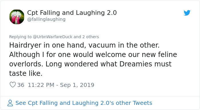 This Thread Detailing How Cats Could Take Over Scotland Is Hilarious