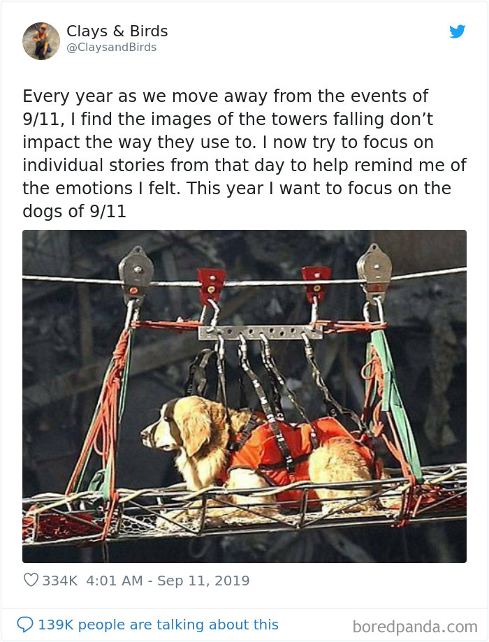 Person Honors The Dog Heroes Of 9/11 That Are Often Overlooked In A Beautifully Sad Twitter Thread Person Honors The Dog Heroes Of 9/11 That Are Often Overlooked In A Beautifully Sad Twitter Thread