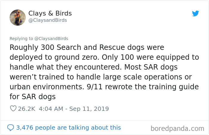 Person Honors The Dog Heroes Of 9/11 That Are Often Overlooked In A Beautifully Sad Twitter Thread Person Honors The Dog Heroes Of 9/11 That Are Often Overlooked In A Beautifully Sad Twitter Thread