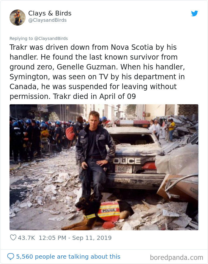 Person Honors The Dog Heroes Of 9/11 That Are Often Overlooked In A Beautifully Sad Twitter Thread Person Honors The Dog Heroes Of 9/11 That Are Often Overlooked In A Beautifully Sad Twitter Thread