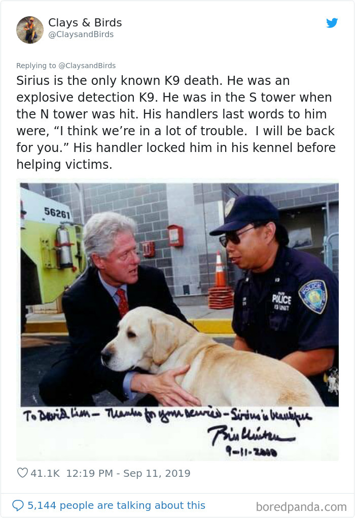 Person Honors The Dog Heroes Of 9/11 That Are Often Overlooked In A Beautifully Sad Twitter Thread Person Honors The Dog Heroes Of 9/11 That Are Often Overlooked In A Beautifully Sad Twitter Thread