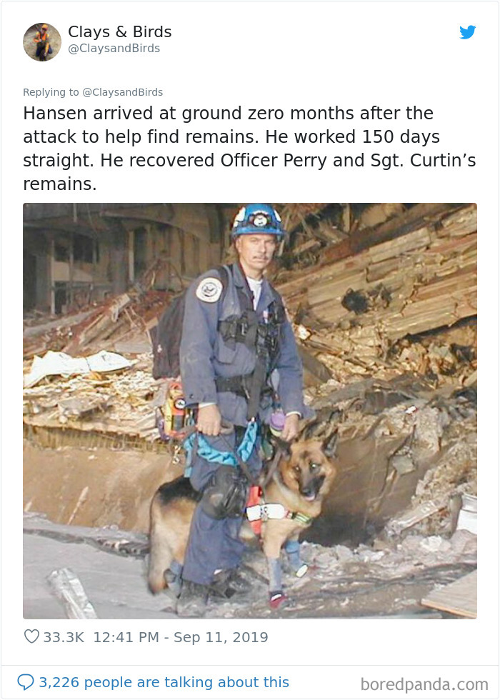 Person Honors The Dog Heroes Of 9/11 That Are Often Overlooked In A Beautifully Sad Twitter Thread Person Honors The Dog Heroes Of 9/11 That Are Often Overlooked In A Beautifully Sad Twitter Thread