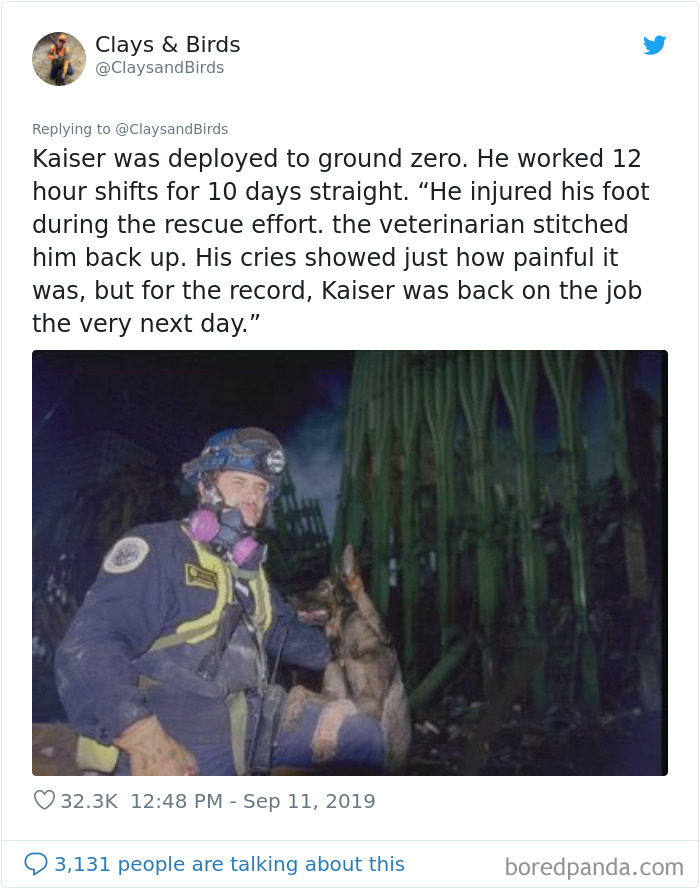 Person Honors The Dog Heroes Of 9/11 That Are Often Overlooked In A Beautifully Sad Twitter Thread Person Honors The Dog Heroes Of 9/11 That Are Often Overlooked In A Beautifully Sad Twitter Thread