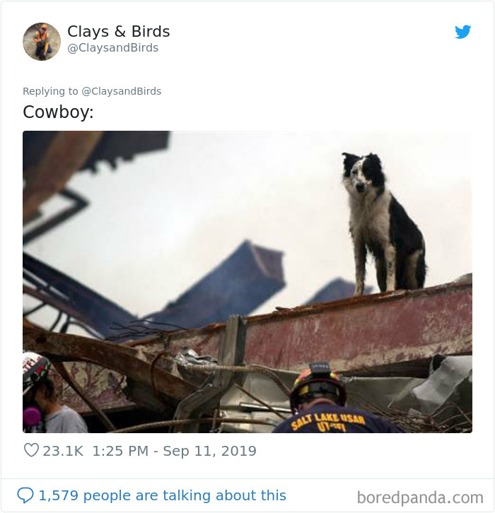 Person Honors The Dog Heroes Of 9/11 That Are Often Overlooked In A Beautifully Sad Twitter Thread Person Honors The Dog Heroes Of 9/11 That Are Often Overlooked In A Beautifully Sad Twitter Thread