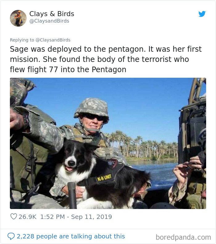 Person Honors The Dog Heroes Of 9/11 That Are Often Overlooked In A Beautifully Sad Twitter Thread Person Honors The Dog Heroes Of 9/11 That Are Often Overlooked In A Beautifully Sad Twitter Thread