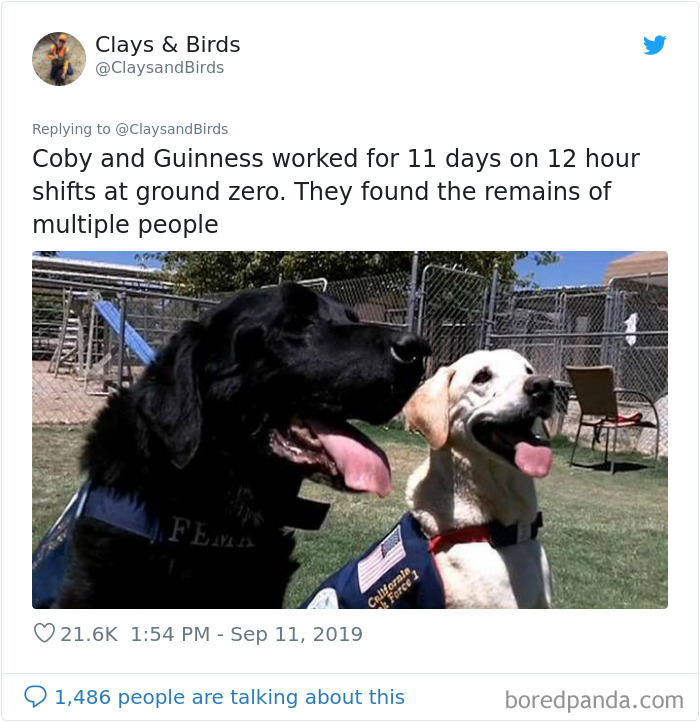 Person Honors The Dog Heroes Of 9/11 That Are Often Overlooked In A Beautifully Sad Twitter Thread Person Honors The Dog Heroes Of 9/11 That Are Often Overlooked In A Beautifully Sad Twitter Thread