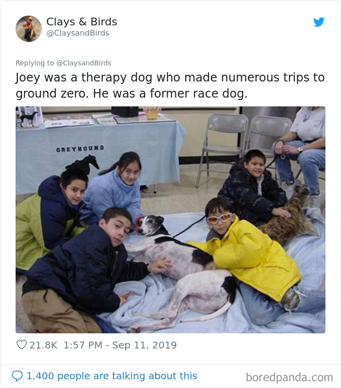 Person Honors The Dog Heroes Of 9/11 That Are Often Overlooked In A Beautifully Sad Twitter Thread Person Honors The Dog Heroes Of 9/11 That Are Often Overlooked In A Beautifully Sad Twitter Thread