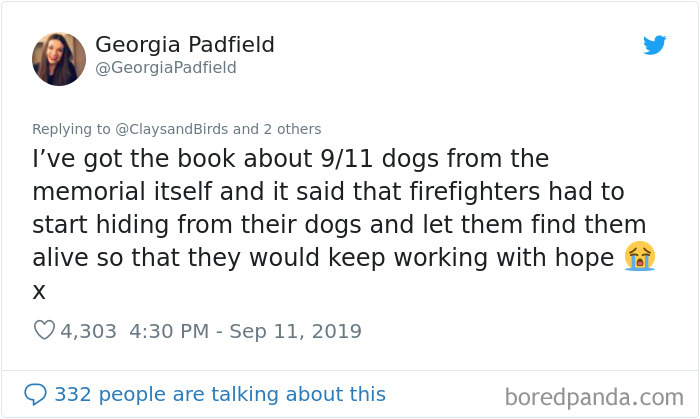 Person Honors The Dog Heroes Of 9/11 That Are Often Overlooked In A Beautifully Sad Twitter Thread Person Honors The Dog Heroes Of 9/11 That Are Often Overlooked In A Beautifully Sad Twitter Thread