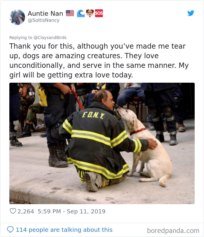 Person Honors The Dog Heroes Of 9/11 That Are Often Overlooked In A Beautifully Sad Twitter Thread Person Honors The Dog Heroes Of 9/11 That Are Often Overlooked In A Beautifully Sad Twitter Thread