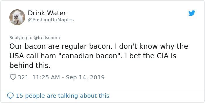 Guy Insults Canada, But This Girl Defends It With Some Truth Bombs That Get Over 1M Likes And Retweets