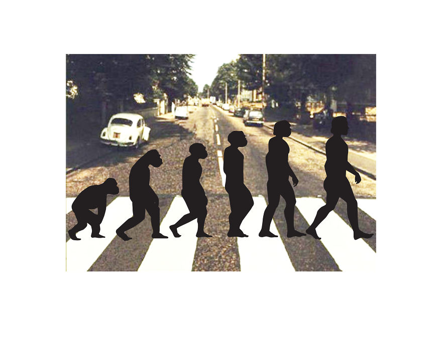 Still Don’t Believe In Evolution?! These Cartoons Take It To The Next Step.