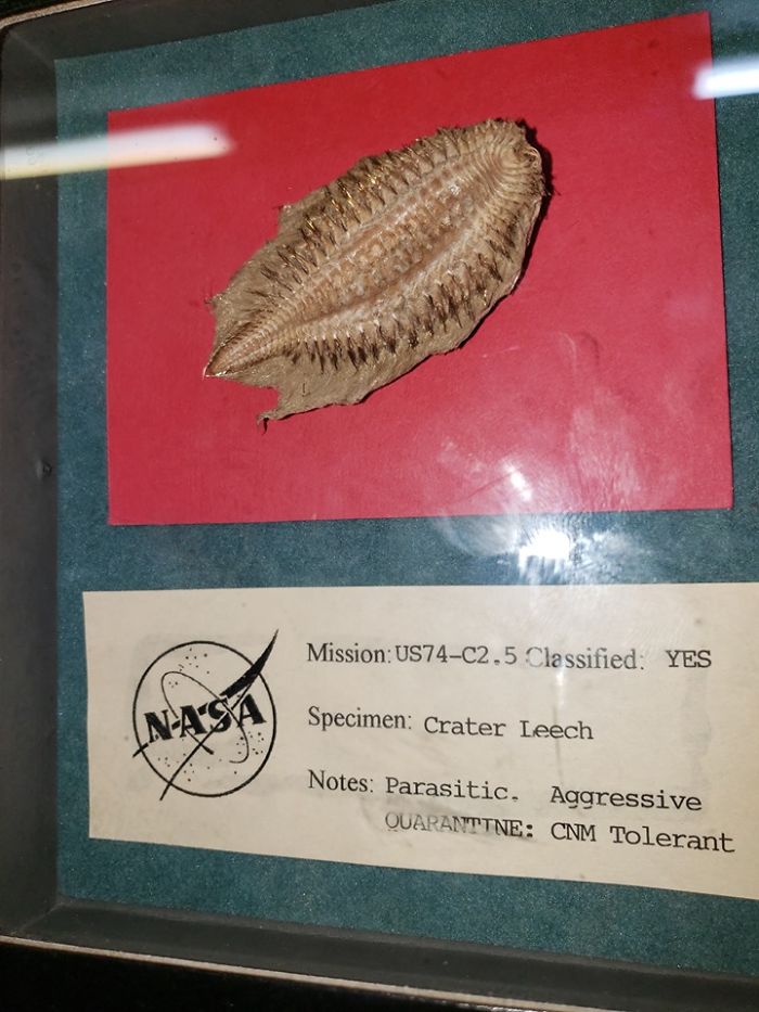 Found This Interesting Piece At An Antique Shop In Flagstaff, Az. This Was Used In A Movie Prop