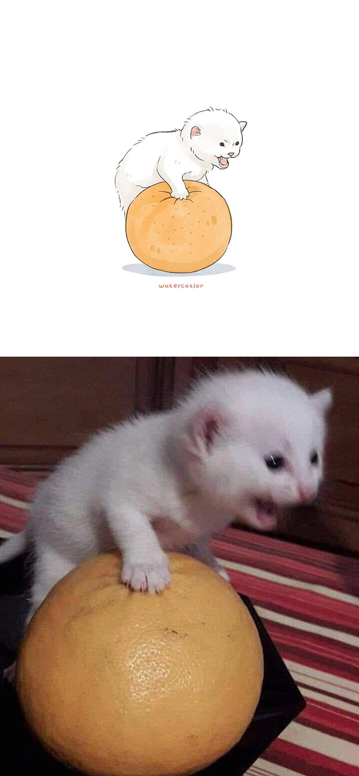 Digital-Watercolor-Cat-Paintings-Watercatlor