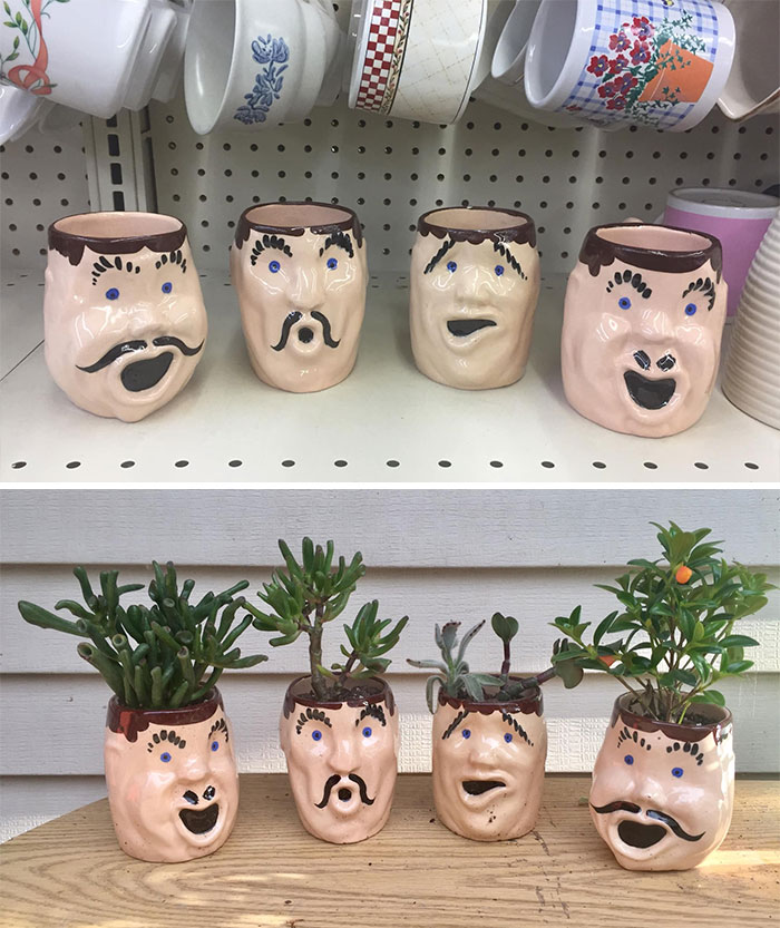 These Guys Were Calling My Name. The First Two Are Gollum, #3 Is A Panda Plant & Jade, #4 Is A Goldfish Plant!