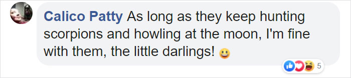 Meet The Most Hardcore Mice You’ve Ever Seen That Hunt Scorpions And Howl At The Moon Meet The Most Hardcore Mice You’ve Ever Seen That Hunt Scorpions And Howl At The Moon