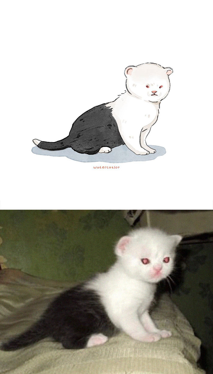 Digital-Watercolor-Cat-Paintings-Watercatlor