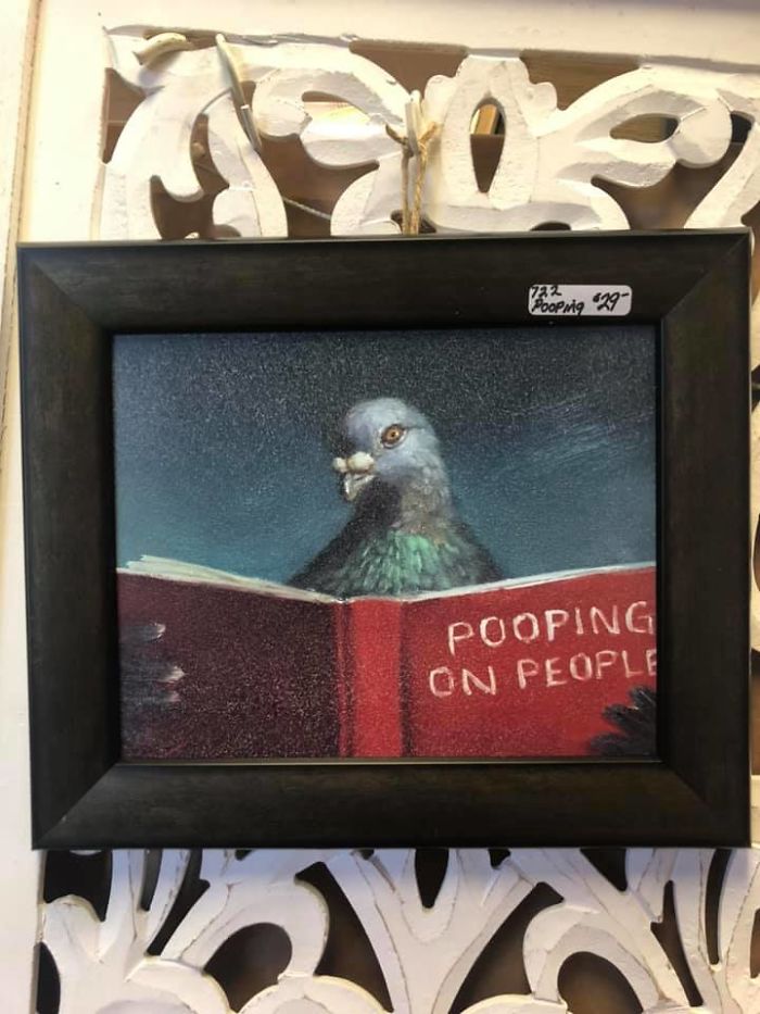 Found In Cary, North Carolina. The Tag Cracks Me Up! Did Not Make It Home With Me