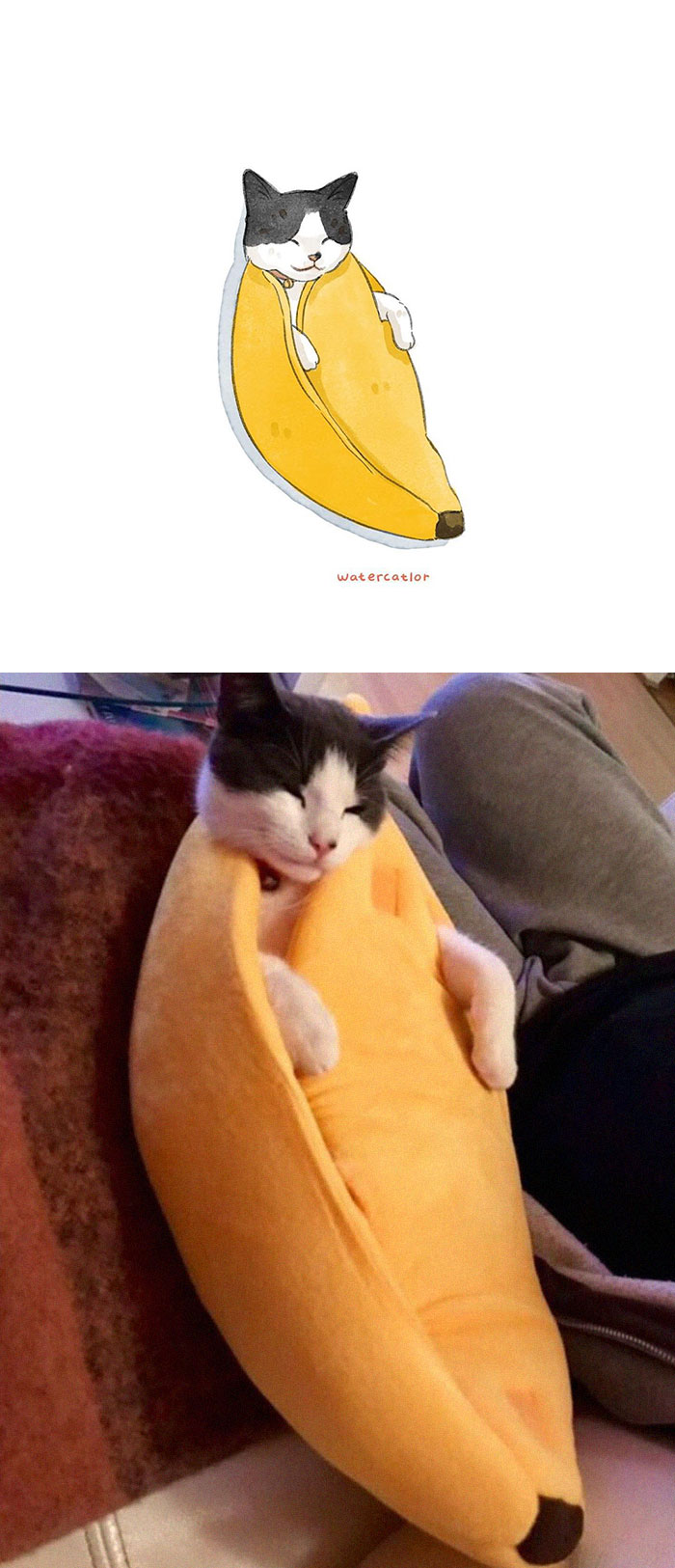 Digital-Watercolor-Cat-Paintings-Watercatlor