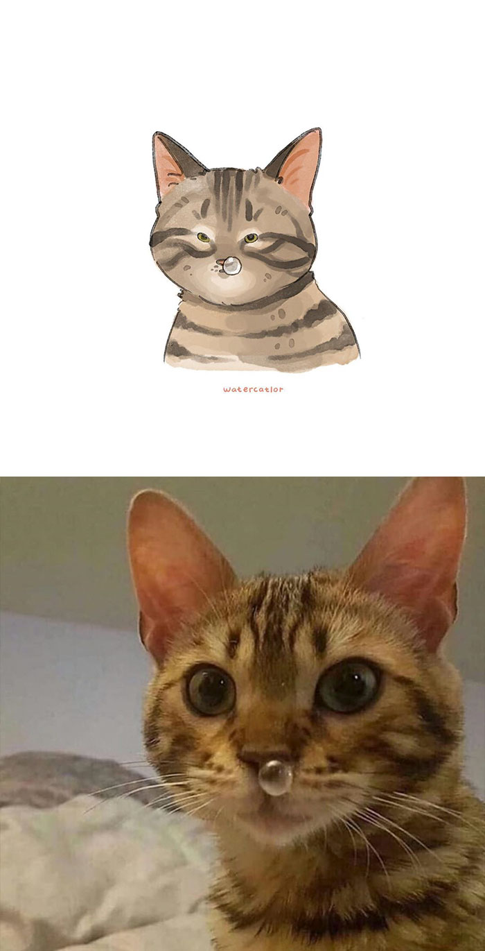 Digital-Watercolor-Cat-Paintings-Watercatlor