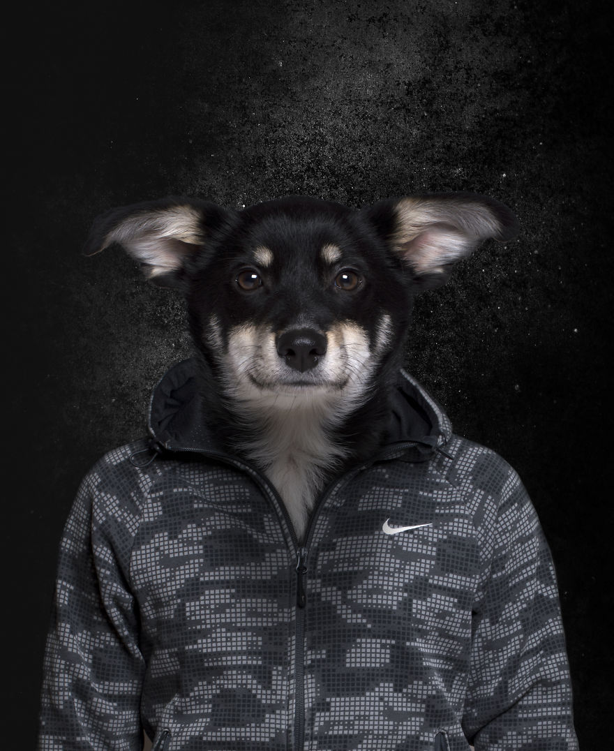 Bulgarian Photographer Creates Unique Photo Collages