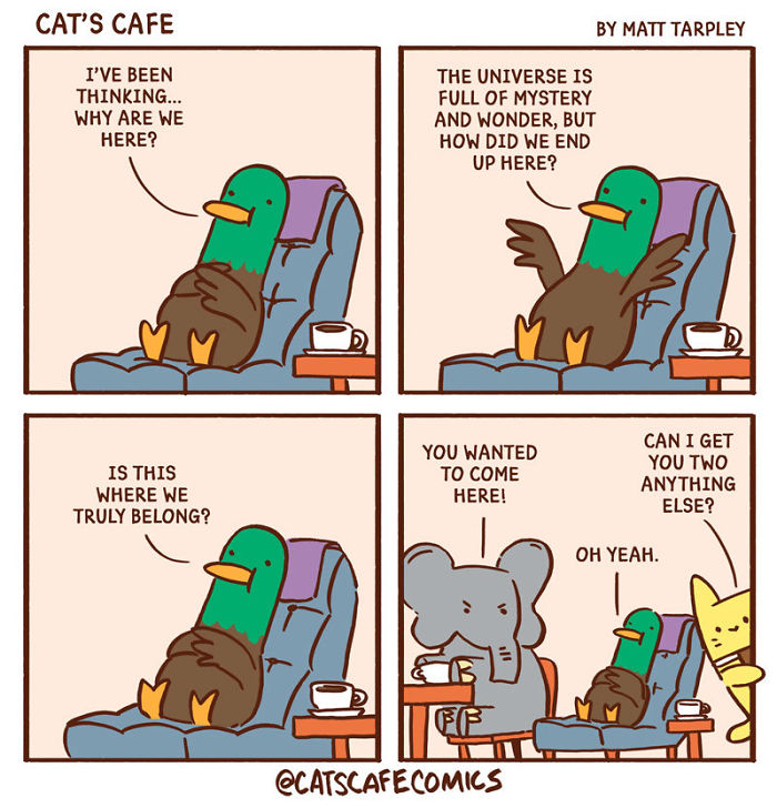 32 Wholesome Comics By Cat's Cafe That Will Brighten Your Day.
