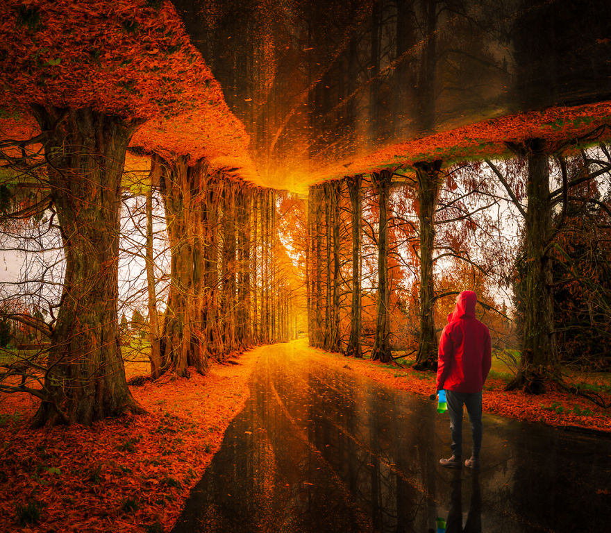 Landscape Manipulations